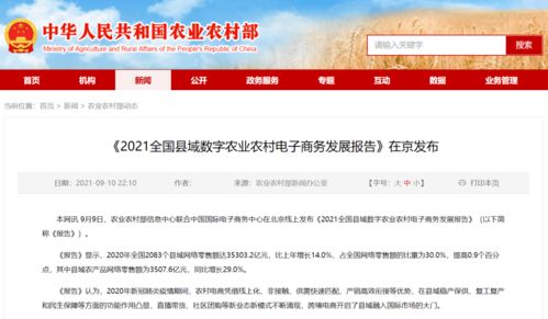 饒平縣躋身全國縣域農產品網絡零售百強，數字賦能農業新篇章